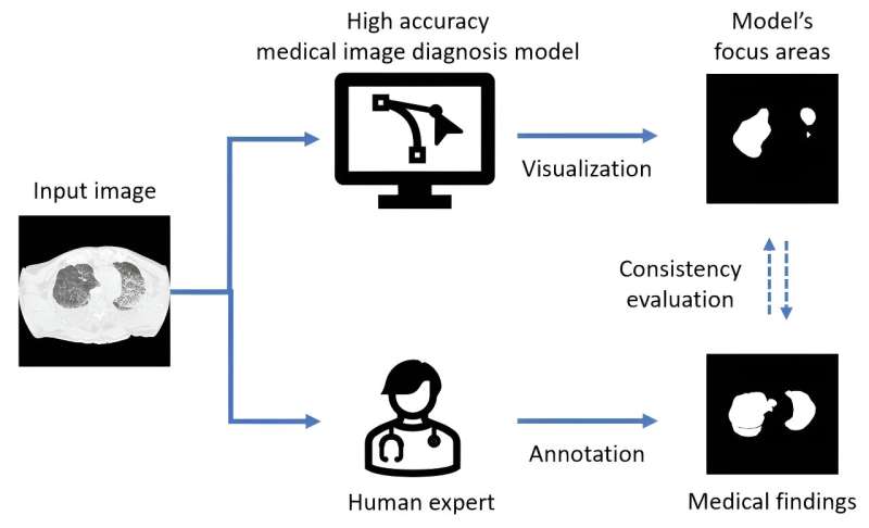 Team studies medical validity of deep learning models in diagnosing drowning