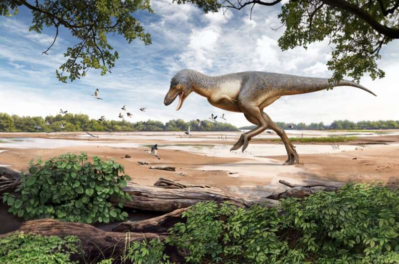 'Teen Rex' discovery highlighted in experience and film at the Denver Museum of Nature & Science