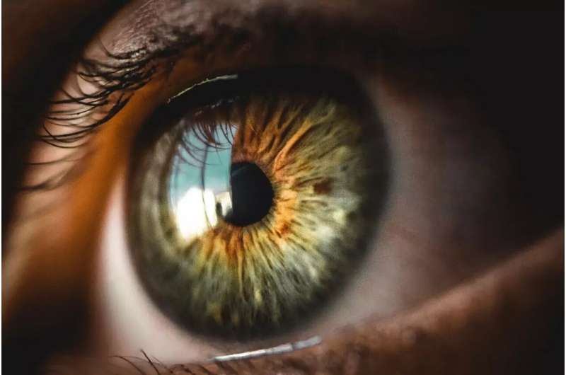 The anterior chamber of the eye as a servant to medical research in translation