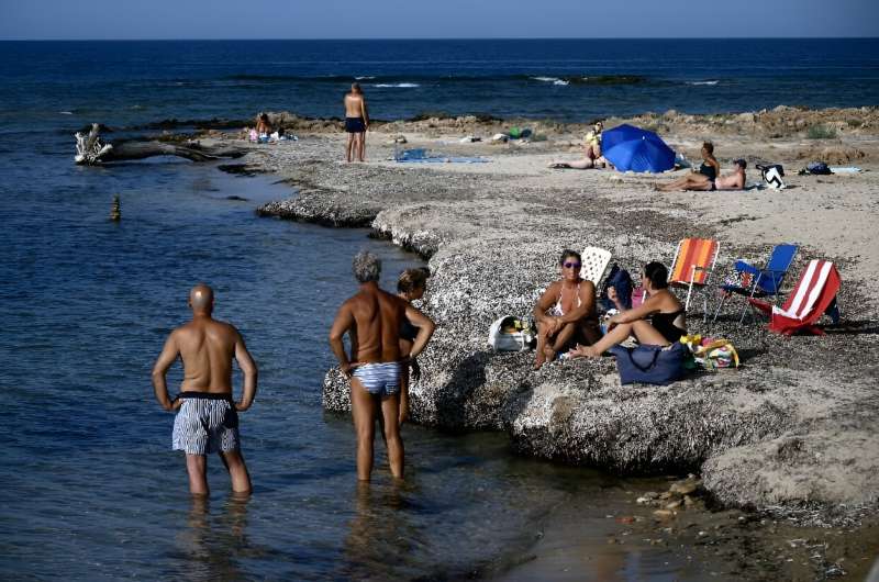 The average temperature of the Mediterranean has increased by around 1.2 degrees Celsius in the last 40 years