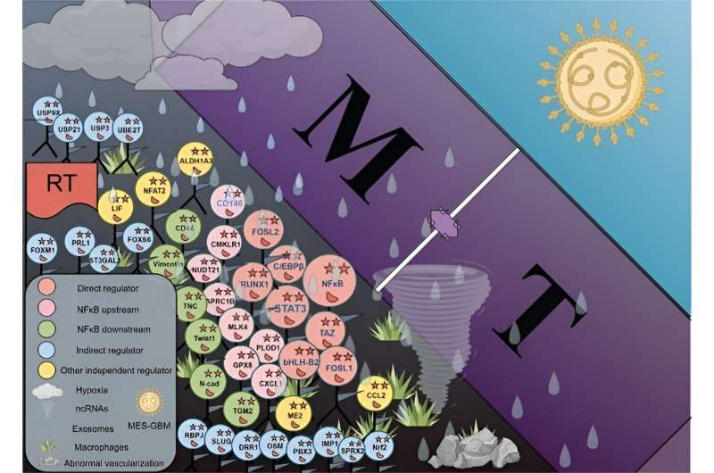 The Battle against glioblastoma: classifying molecular profiles for precision medicine