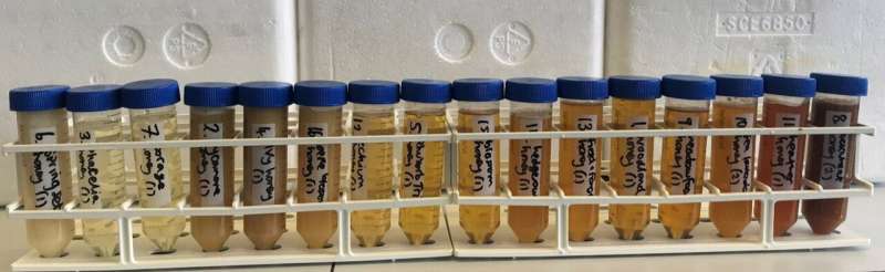 The hammer: New tests to detect fake honey