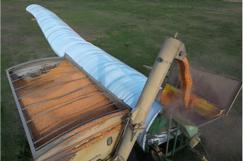 The combination of increased production and unfavorable economic conditions has left Argentina's fields dotted with 'silo bags' -- basically, tons of harvested soybeans and grains wrapped in plastic