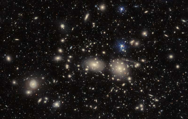 The Dark Energy Camera probes the Coma Cluster, an inspiration for the theory of dark matter