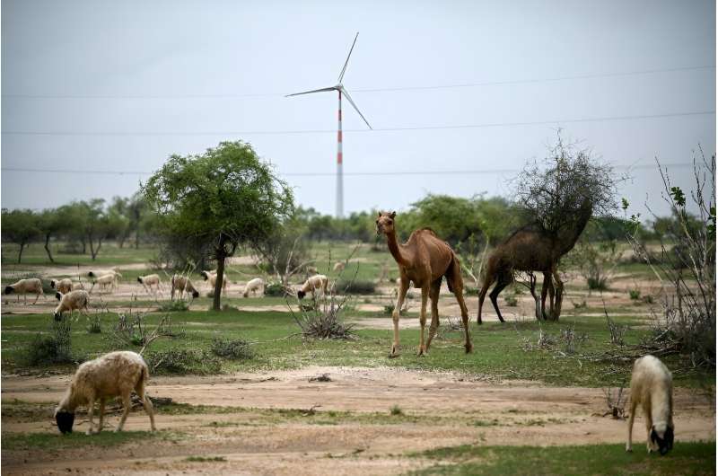 The deserts around Jaisalmer district are dotted with hundreds of turbines, one of India's largest onshore wind farms