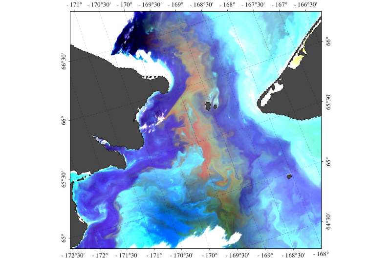 The detection of a massive harmful algal bloom in the Arctic prompts real-time advisories to western Alaskan communities
