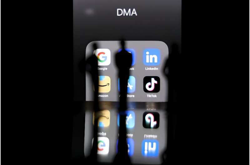 The DMA is a major law in the European Union's bolstered legal armoury to rein in the world's biggest digital companies