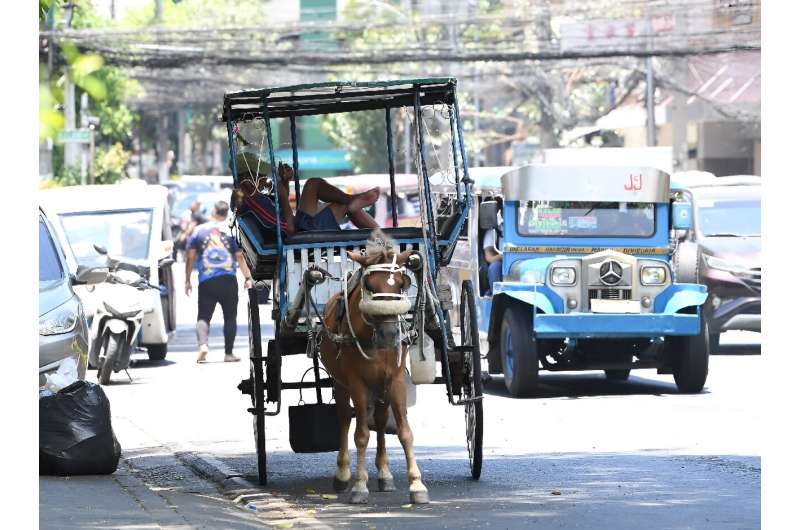 The driver of a horse-drawn carriage takes shelter under a tree as he waits for tourists during a  heatwave in the Philippine capital Manila