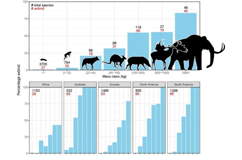 Les preuves s’accumulent : les humains sont responsables de l’extinction des grands mammifères