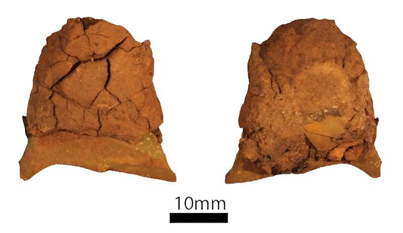 The first published results from Juukan Gorge show 47,000 years of Aboriginal heritage was destroyed in mining blast