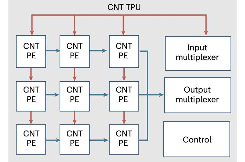 The first tensor processor chip based on carbon nanotubes