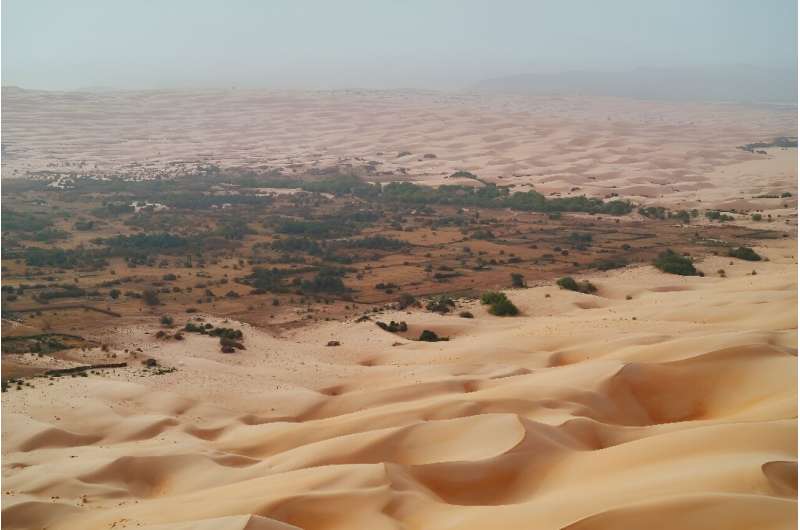 The green oasis is nestled in the depths of the vast Mauritanian desert