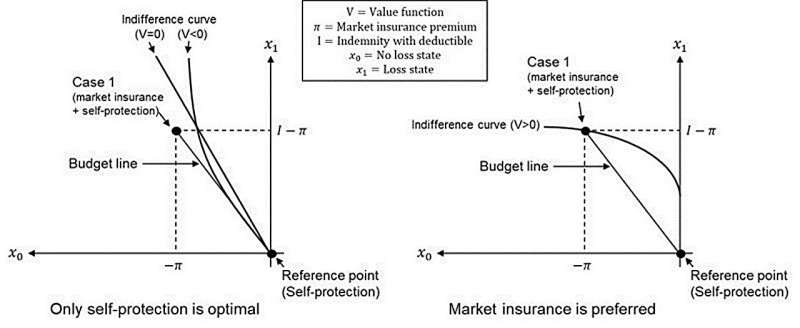 The influence of optimism bias and loss aversion of cyber risk management decisions