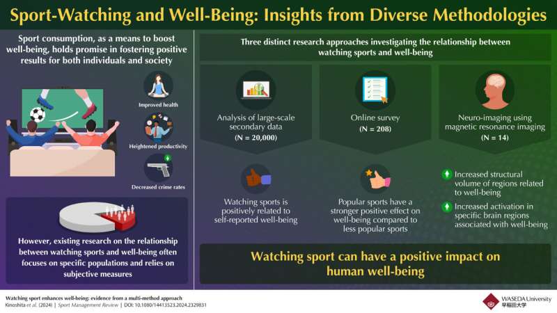 The joy of sports: How watching sports can boost well-being