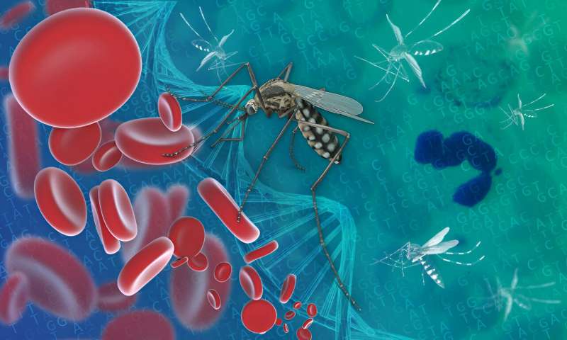 The Malaria parasite generates genetic diversity using an evolutionary 'copy-paste' tactic