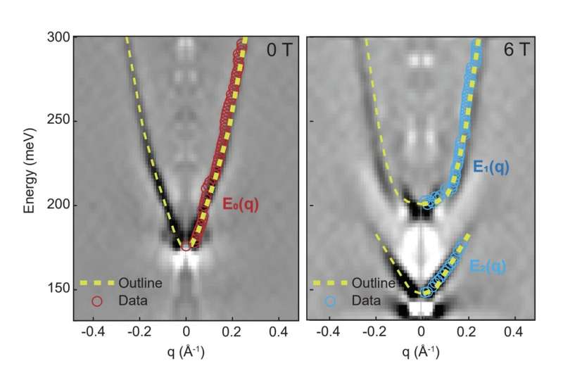 The observation of a Spin Berry curvature-enhanced orbital Zeeman effect in a kagome metal