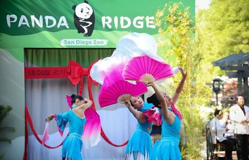 The pandas were welcomed with much fanfare, including a traditional Chinese dance