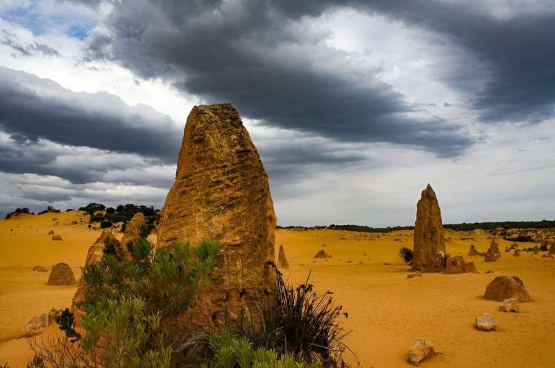 The pinnacles: Deep time, not termite mounds