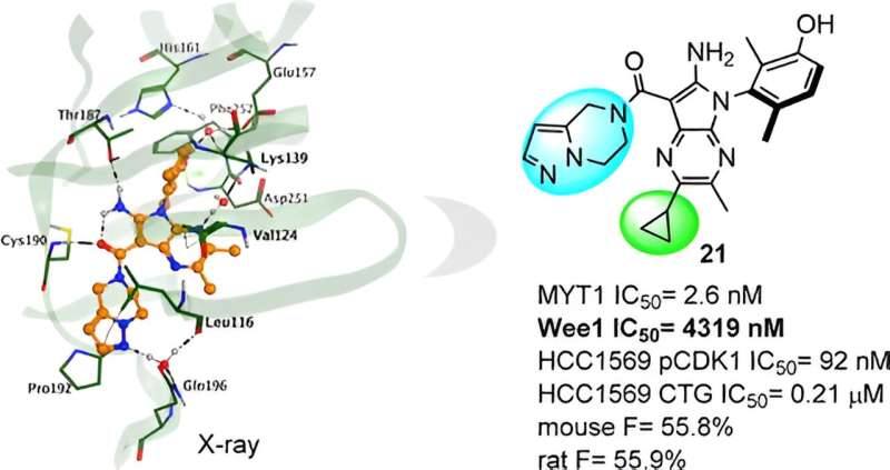 The potent and selective MYT1 inhibitors for the treatment of cancer through generative AI