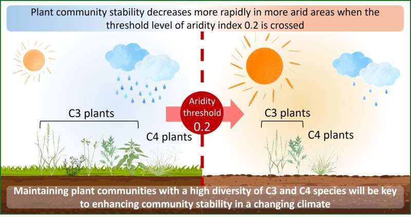 The role of biodiversity in mitigating rapid loss of plant community stability in drylands during changing climate