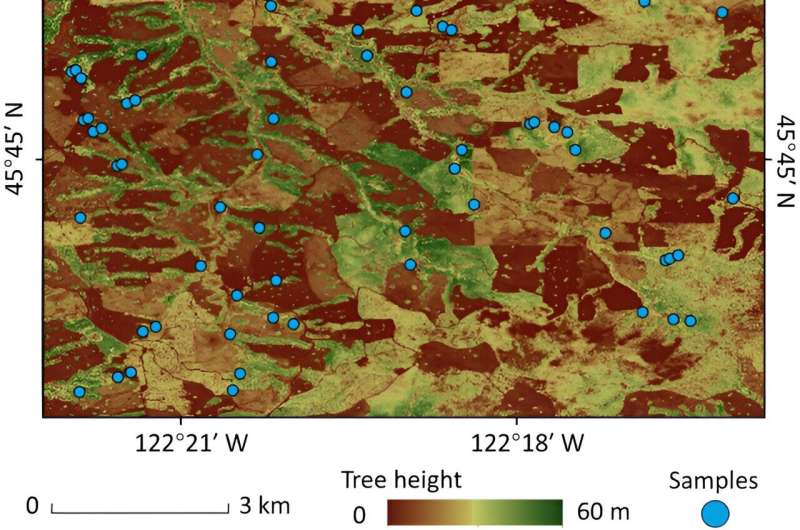 The role of GEDI LiDAR technology in unlocking the secrets of tree height composition