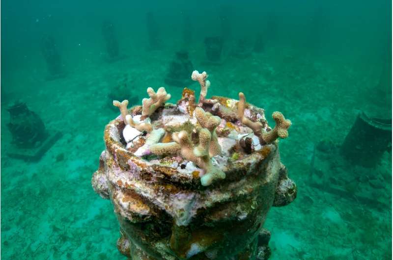 The sculptures that make up Colombia's first underwater gallery were created by potters Hugo Osorio