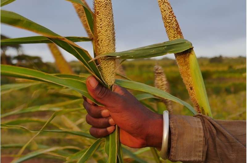 The UN's food agency is helping farmers via a phone app it developed that compiles agro-meteorological data