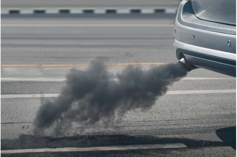 The use of biofuels may reduce black smoke emissions of cars by 90%