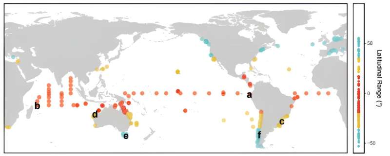 The variability of ocean weather