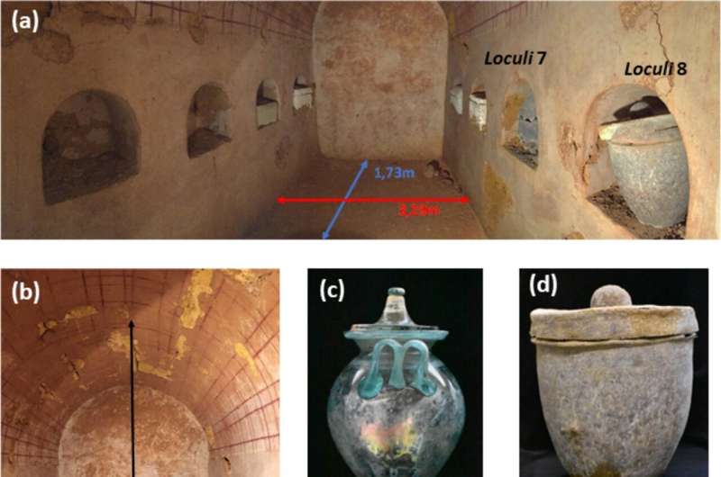 The world's oldest wine discovered