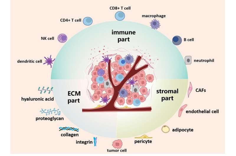 Therapeutic targets in tumor microenvironment
