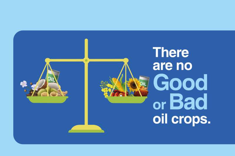 There are no good or bad oil crops, only good and bad practices