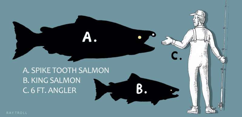 These giant, prehistoric salmon had tusk-like teeth