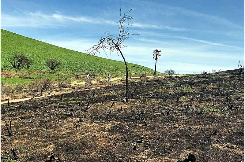 'This is about hope:' Scientists offer climate solutions for sustainability in California