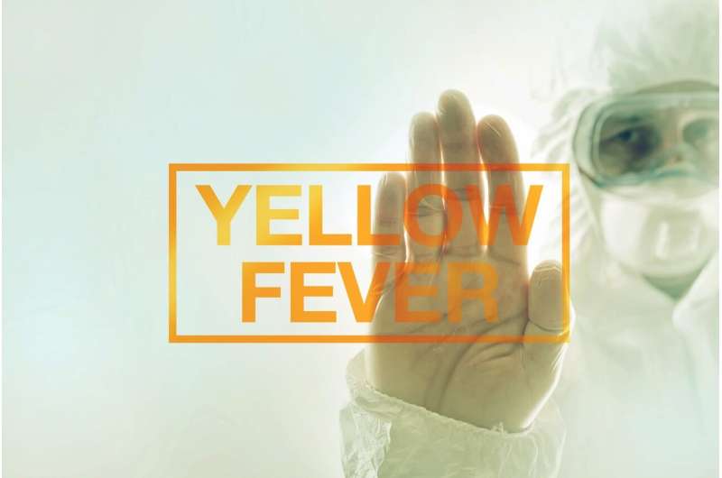 This travel season, know your risks for yellow fever