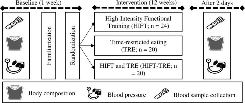 Time-restricted eating and high-intensity exercise might work together to improve health