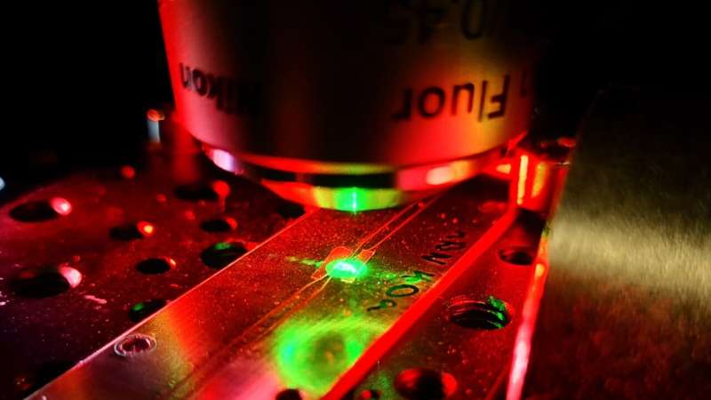 Tiny quantum sensor to make a big impact