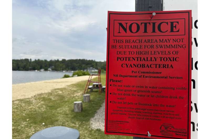 'Tis the season for swimming and bacteria alerts in lakes, rivers
