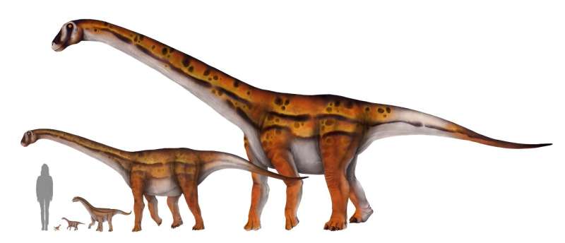 Titanosaurs were the biggest land animals Earth's ever seen − these plant-powered dinos combined reptile and mammal traits