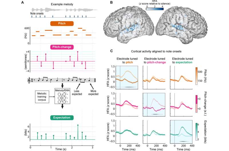 To appreciate music, the human brain listens and learns to predict