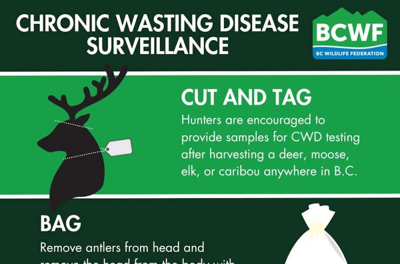 To manage chronic wasting disease, some animals die so more can live