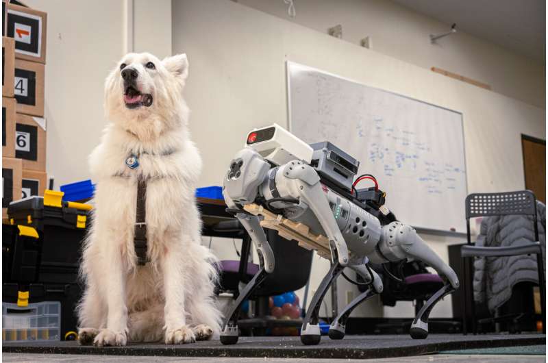 To optimize guide-dog robots, first listen to the visually impaired