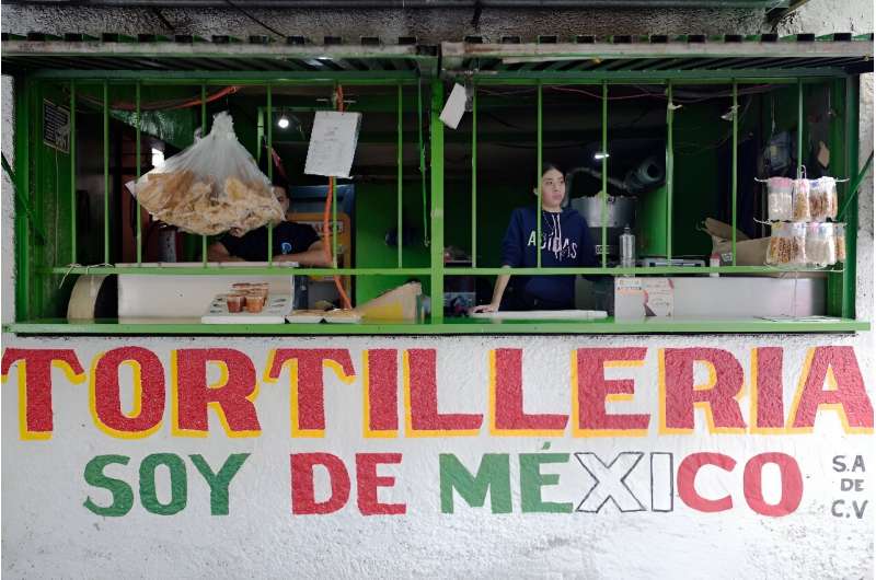 Las tortillas son un alimento básico en México, consumido por millones de personas todos los días.