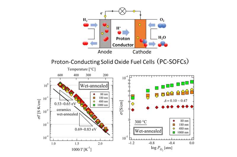 Towards cleaner energy: Breakthrough in anode electrode materials for proton conducting solid oxide fuel cells operating at medium temperature