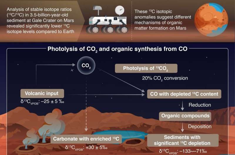 Tracing the origins of organic matter in Martian sediments
