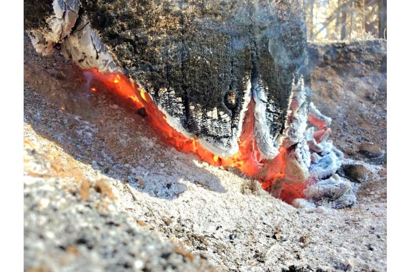 Suivi des effets réparateurs d'un bon feu