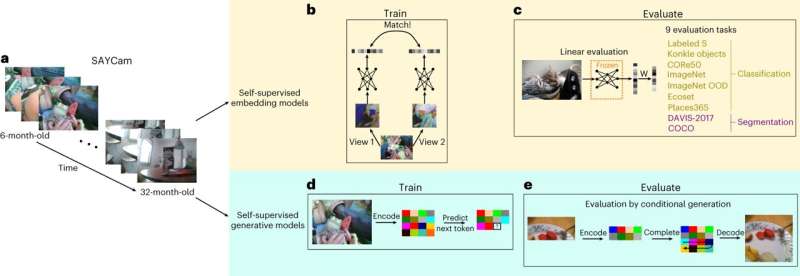 Training artificial neural networks to process images from a child's perspective