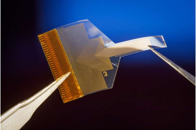 Transparent brain implant can read deep neural activity from the surface