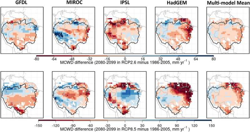 Tree mortality may lead to carbon tipping point in the Amazon by 2050s