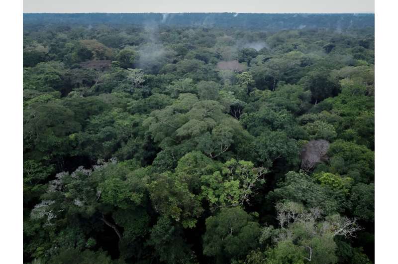Tropical environments like the Congo Basin boast high carbon storage and low changes in albedo
